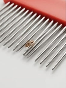 Rubber Handle Single Side Steel Needles Pet Comb – Effective Flea & Tick Removal