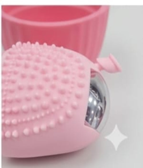 4 in 1 Multifunctional Silicone Ice Face Roller