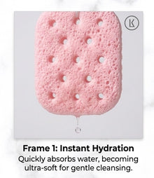 Facial Cleaning Sponge