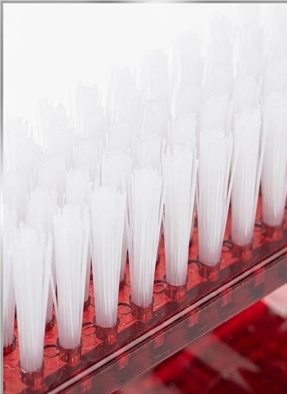 Professional Nail Cleaning Brush Plastic