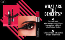 Colorbar Zoom & Whoosh Mascara