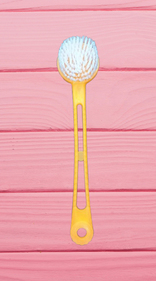 Bath Brush with Bristles – Long Handle Shower Scrubber