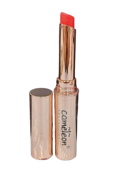 Cameleon Non Transfer Waterproof Lipstick