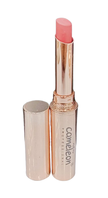 Cameleon Non Transfer Waterproof Lipstick