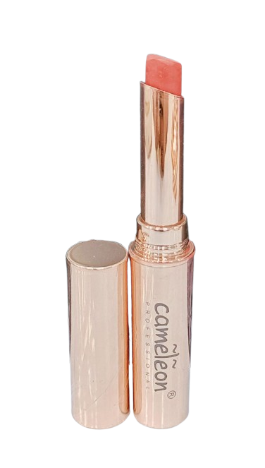 Cameleon Non Transfer Waterproof Lipstick