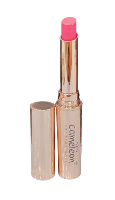 Cameleon Non Transfer Waterproof Lipstick