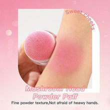 ushas Powder Blush with Powder Puff loose powder blush