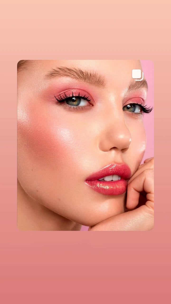 Miss Rose Professional Makeup Blush