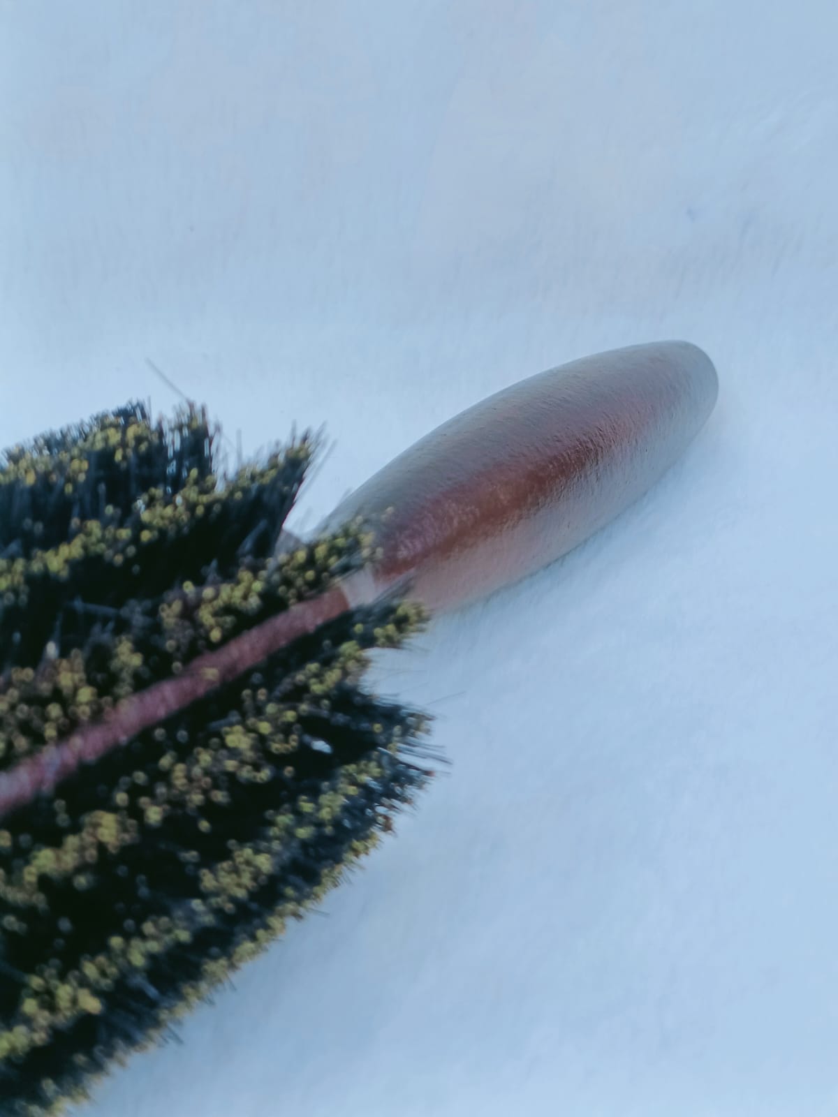 Wood Handle Handheld Bristle Brush Cleaning Tool – Black, Big Size