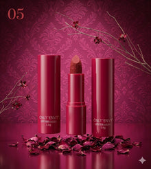 Only Envy Matte Lipstick