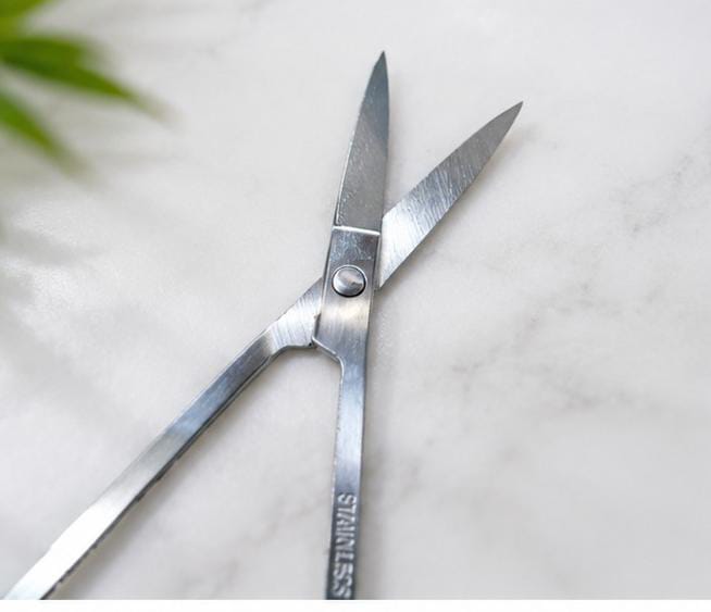 Eyebrow Scissors for Daily Use – Perfect Grooming for Women - The beauty cart