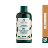 The Body Shop Shea Butter Richly Replenishing Conditioner (250ml)