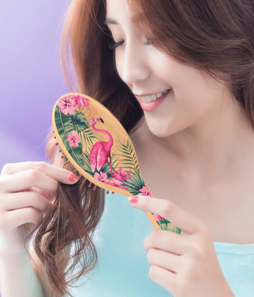 Cute Hair Wooden Comb  Cartoon Pattern Air Cushion Brus