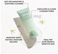 The Face Shop Tea Tree Pore Clarifying Gel Cleanser (150ml)